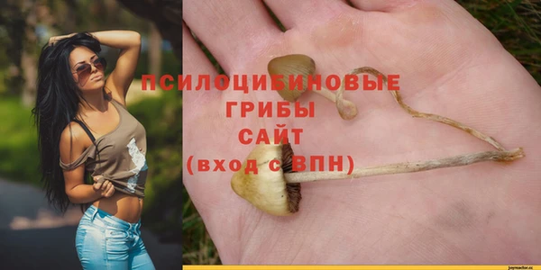 эйфоретик Медногорск