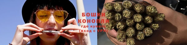 молекула духа Магадан