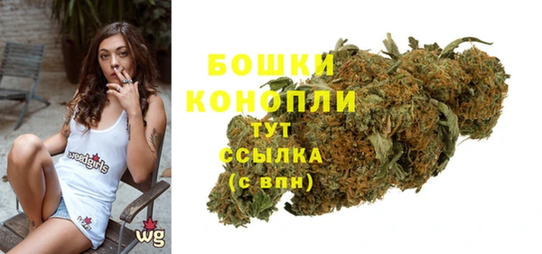 бошки Мегион