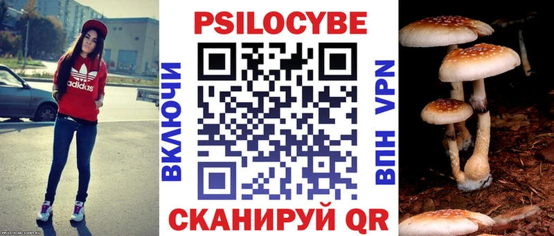 Купить где  Кораблино  Псилоцибиновые грибы Magic Shrooms 